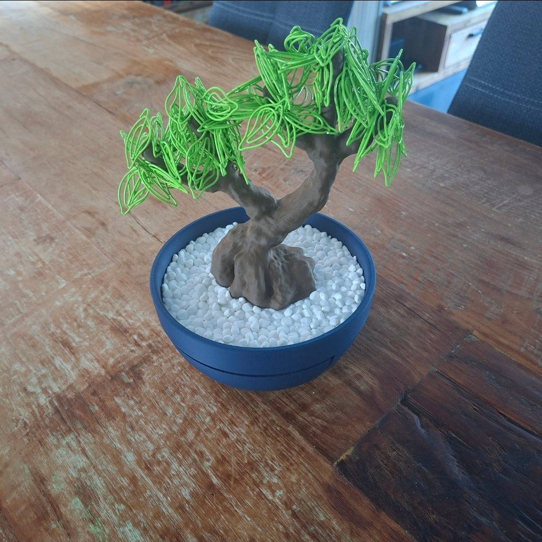 Office Bonzai