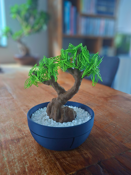 Office Bonzai